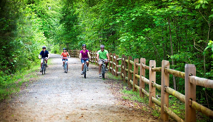 Wide shot of a four-member family riding their bikes on a forest trail
